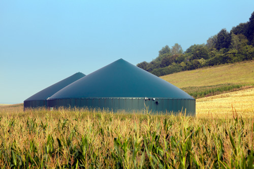 Biogasanlage in Maisfeld